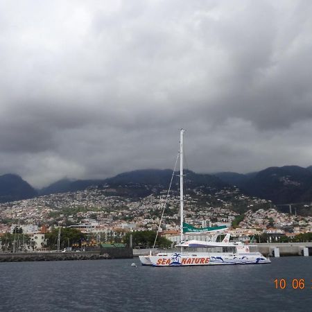 Stay In Madeira Funchal  Eksteriør bilde